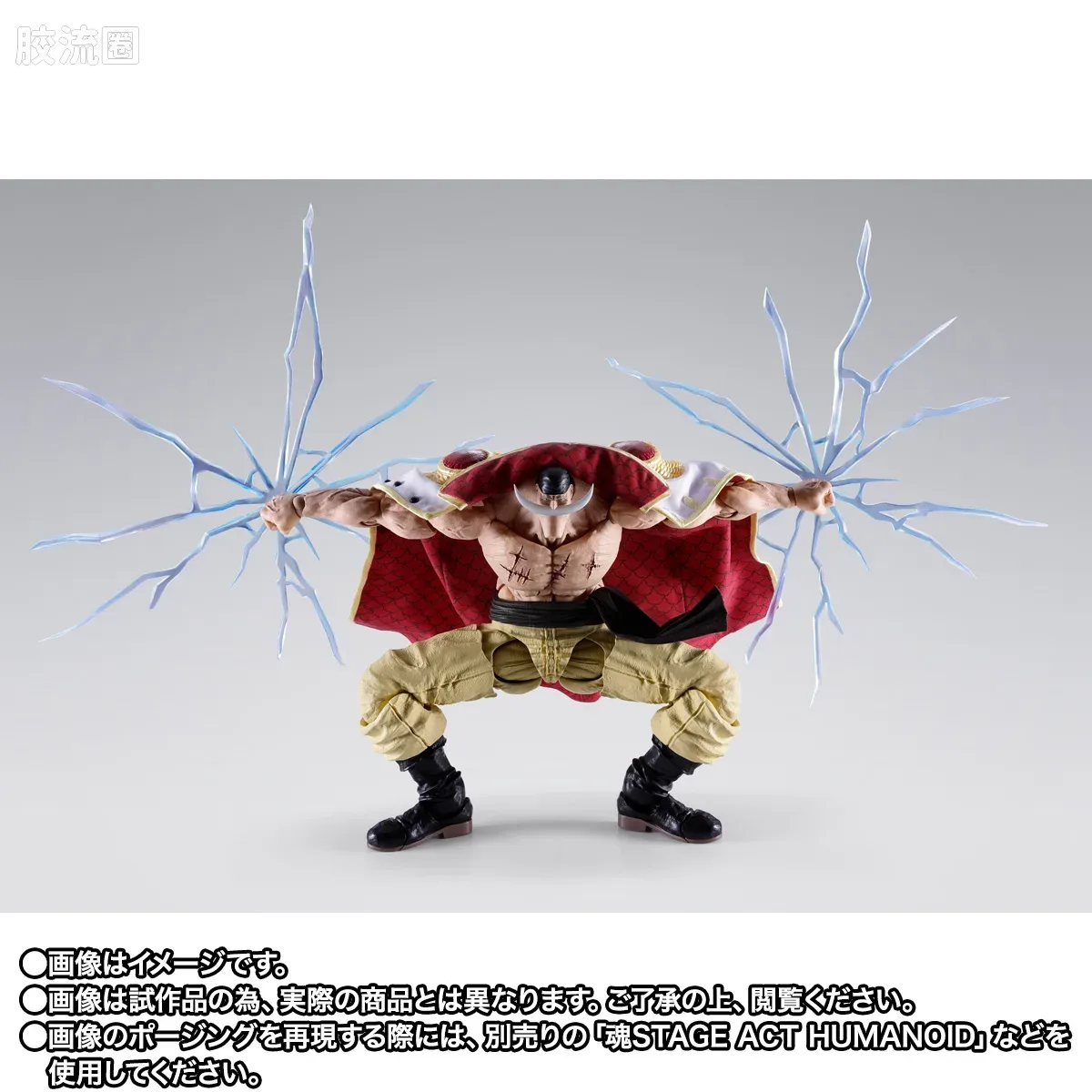 SHF 海贼王系列 爱德华·纽盖特（白胡子） -马林梵多顶上决战- - 图片