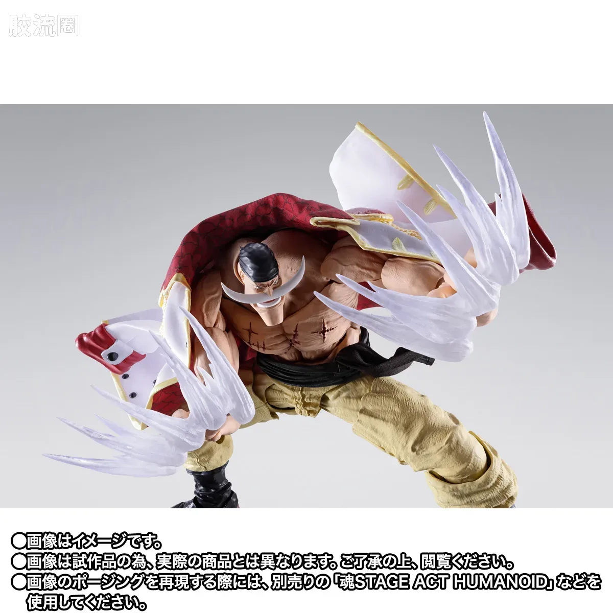 SHF 海贼王系列 爱德华·纽盖特（白胡子） -马林梵多顶上决战- - 图片