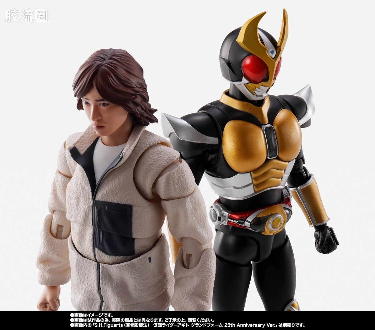 SHF 假面骑士限定版 津上翔一 - 图片
