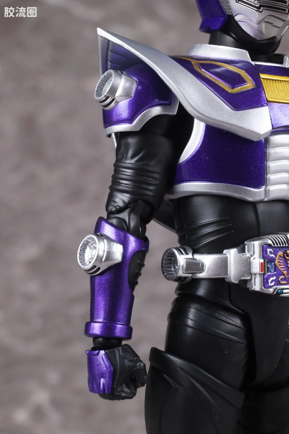SHF 真骨雕假面骑士系列 假面骑士王蛇 - 图片