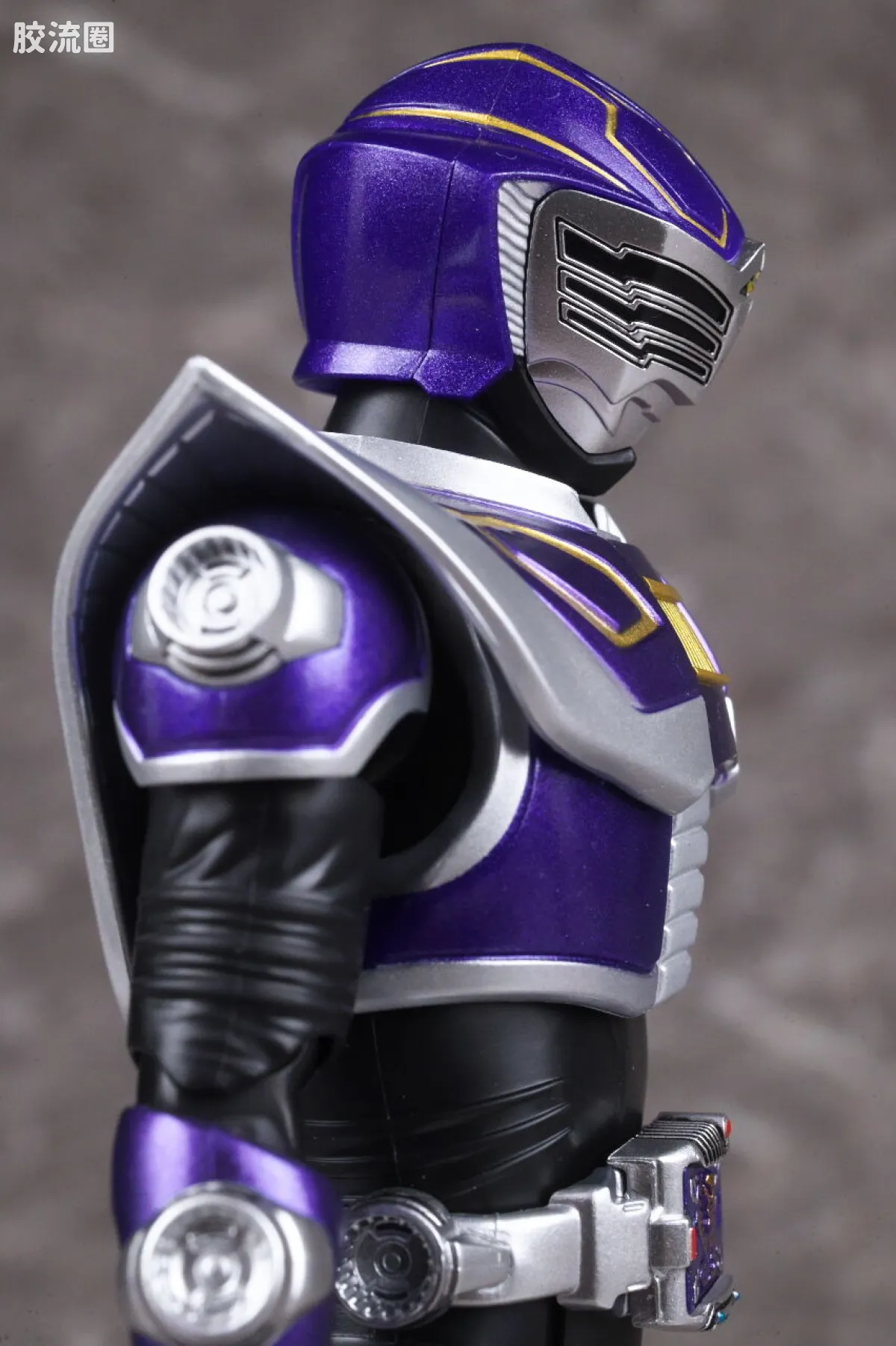 SHF 真骨雕假面骑士系列 假面骑士王蛇 - 图片