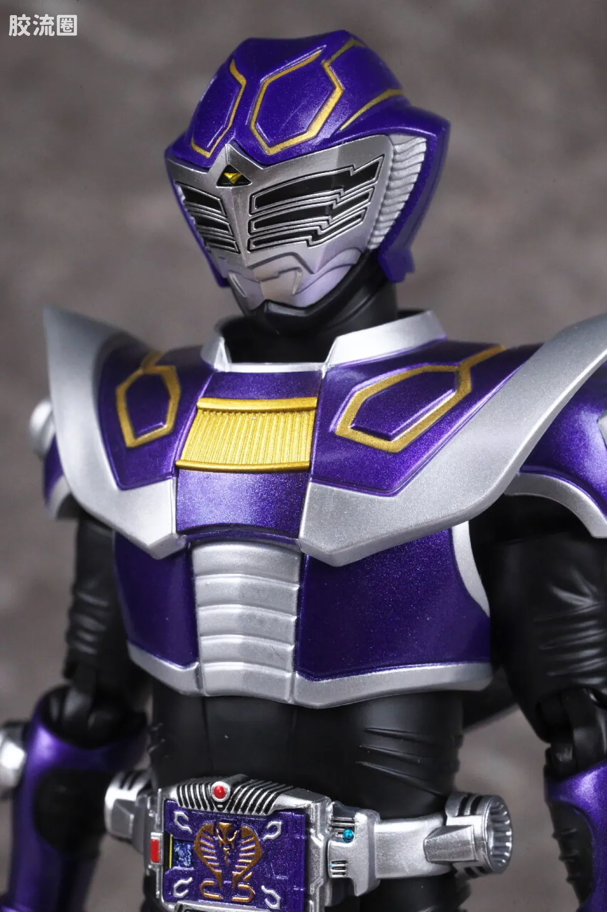 SHF 真骨雕假面骑士系列 假面骑士王蛇 - 图片