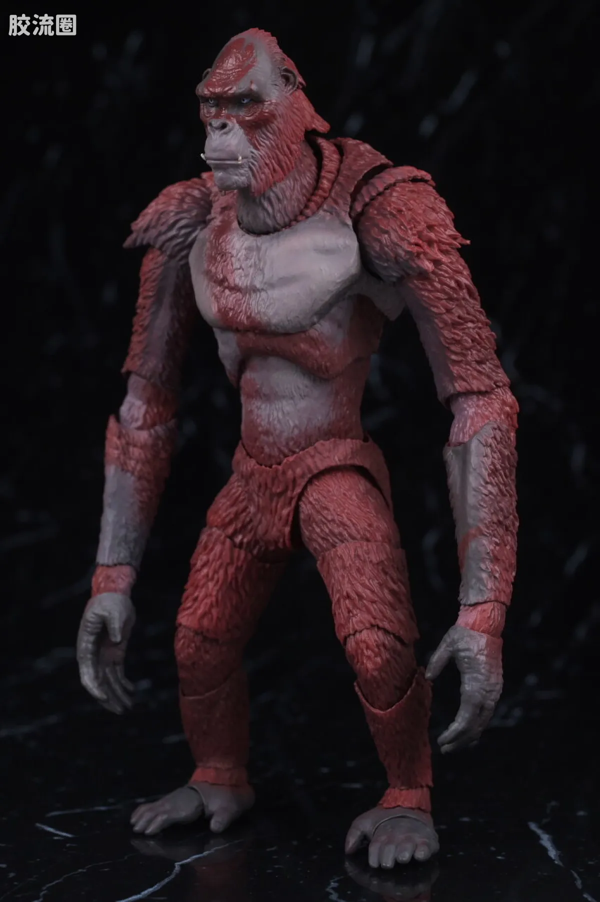 S.H.MonsterArts 限定及特别版 刀疤王 FROM <哥斯拉 x 金刚:帝国崛起(2024)> - 图片