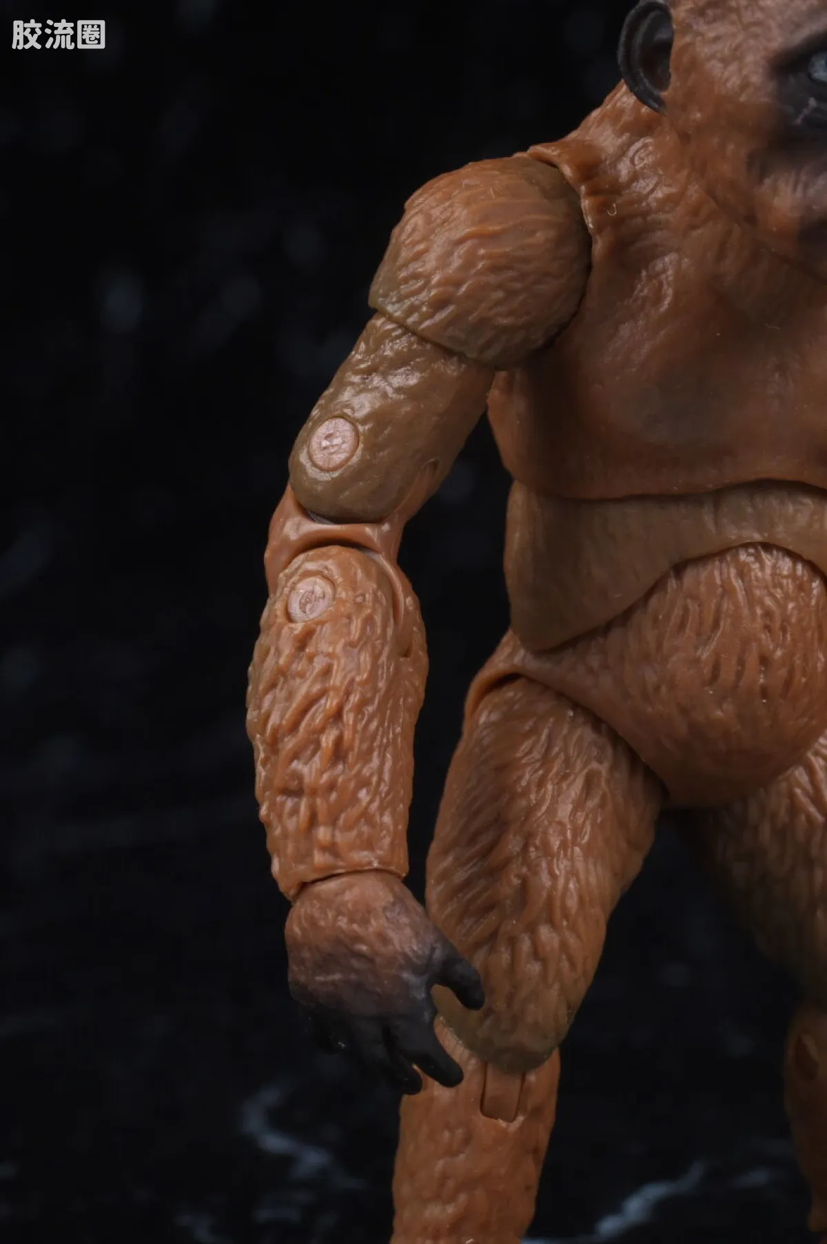 S.H.MonsterArts 限定及特别版 Suko&魔斯拉(2024) FROM <哥斯拉 x 金刚:帝国崛起> - 图片