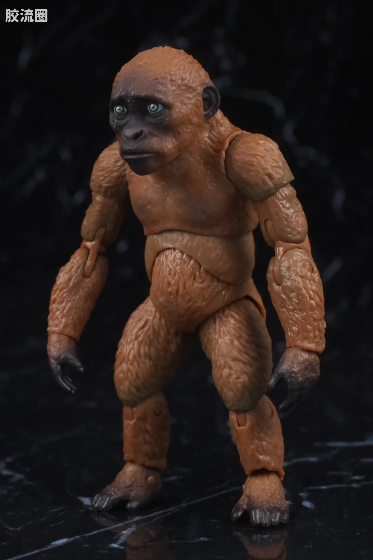 S.H.MonsterArts 限定及特别版 Suko&魔斯拉(2024) FROM <哥斯拉 x 金刚:帝国崛起> - 图片