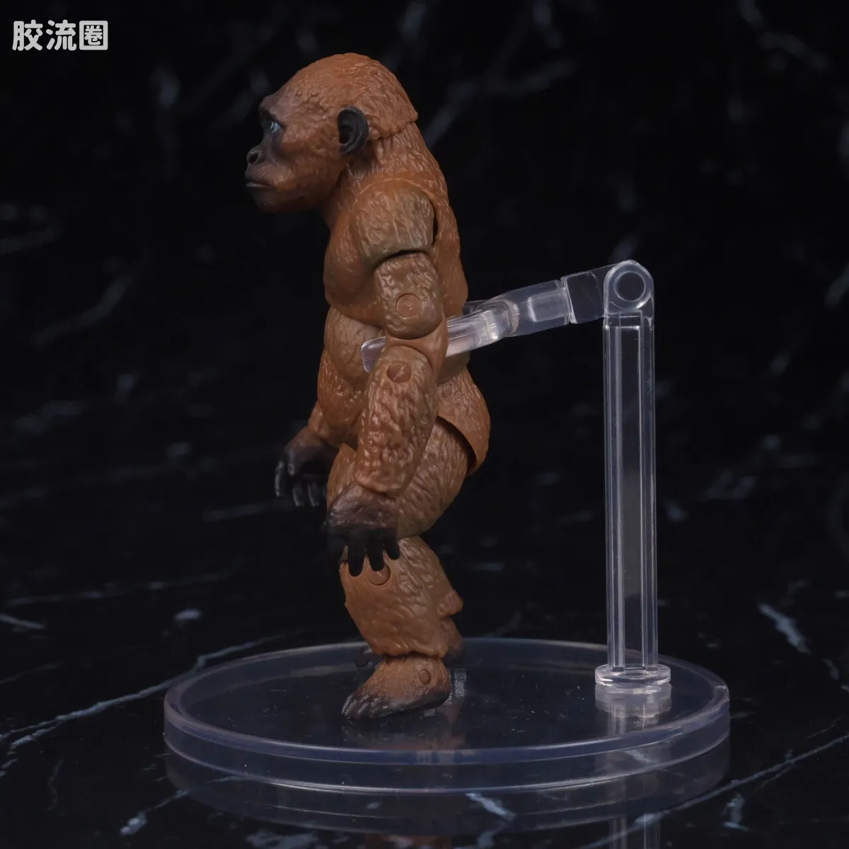 S.H.MonsterArts 限定及特别版 Suko&魔斯拉(2024) FROM <哥斯拉 x 金刚:帝国崛起> - 图片