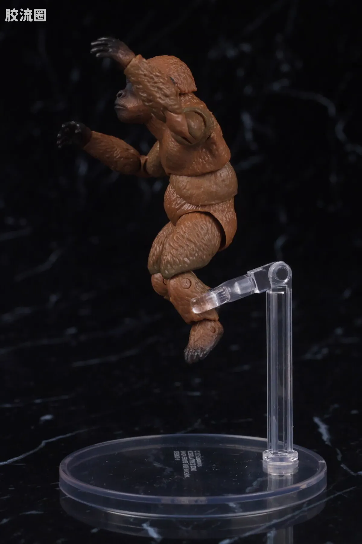 S.H.MonsterArts 限定及特别版 Suko&魔斯拉(2024) FROM <哥斯拉 x 金刚:帝国崛起> - 图片