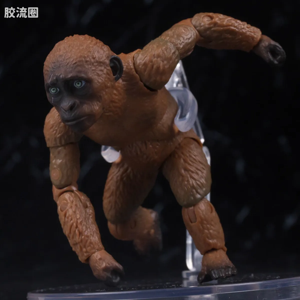 S.H.MonsterArts 限定及特别版 Suko&魔斯拉(2024) FROM <哥斯拉 x 金刚:帝国崛起> - 图片
