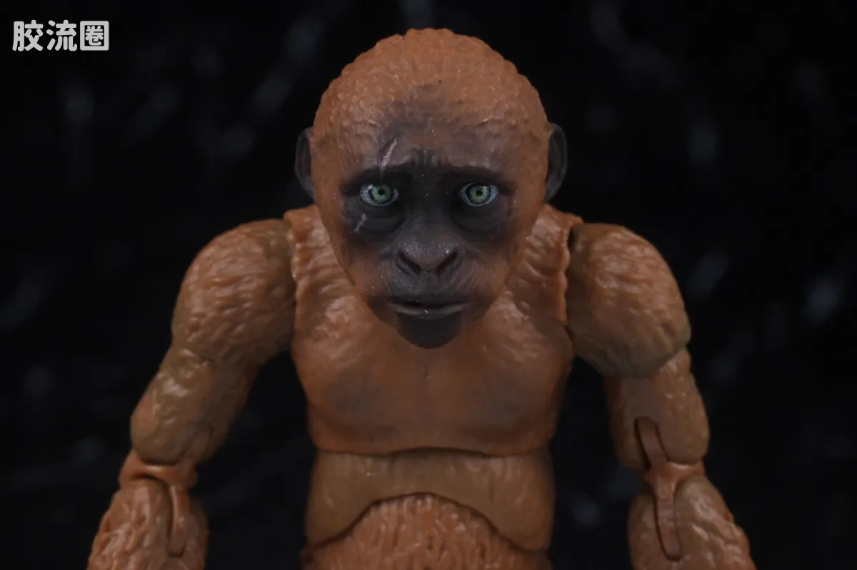 S.H.MonsterArts 限定及特别版 Suko&魔斯拉(2024) FROM <哥斯拉 x 金刚:帝国崛起> - 图片