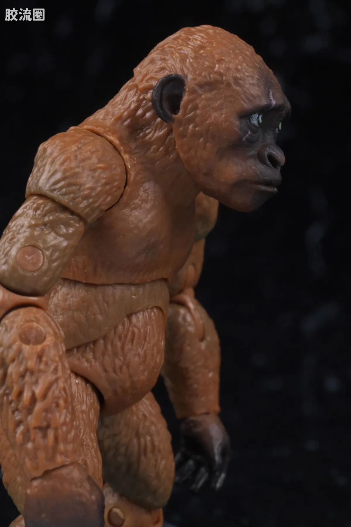S.H.MonsterArts 限定及特别版 Suko&魔斯拉(2024) FROM <哥斯拉 x 金刚:帝国崛起> - 图片