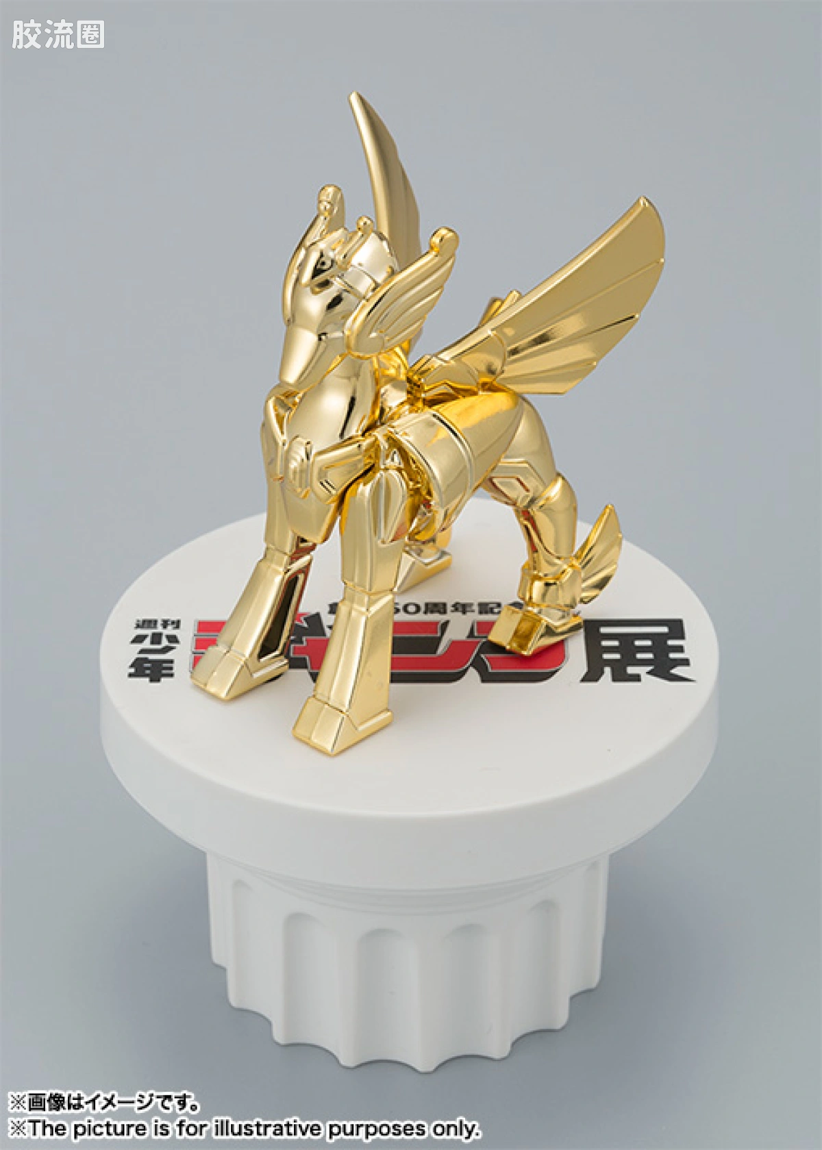 圣斗士圣衣神话 会场限定 金色天马小圣衣 - 图片