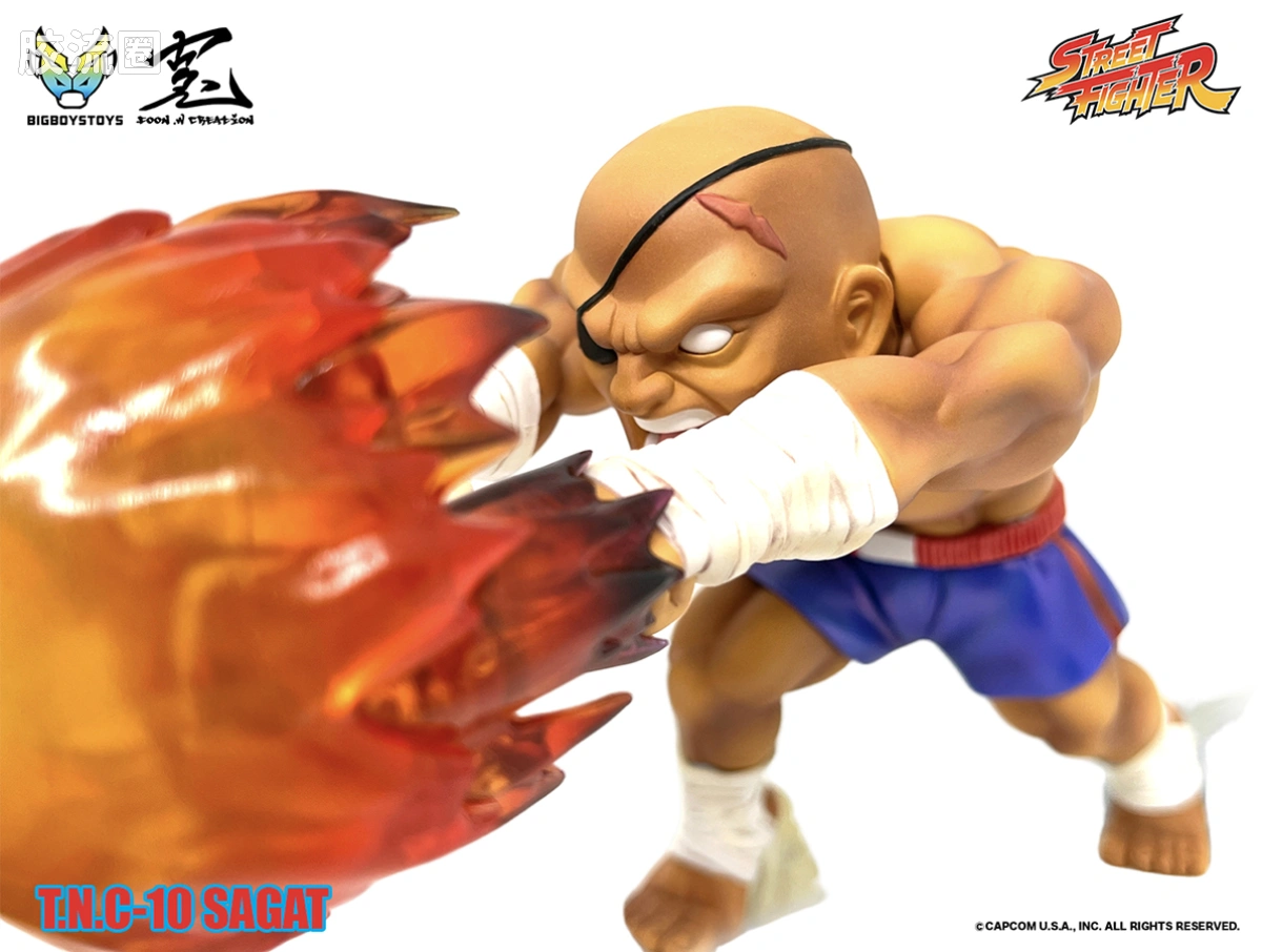 Pre-painted action figure 街头霸王系列 沙加特 - 图片