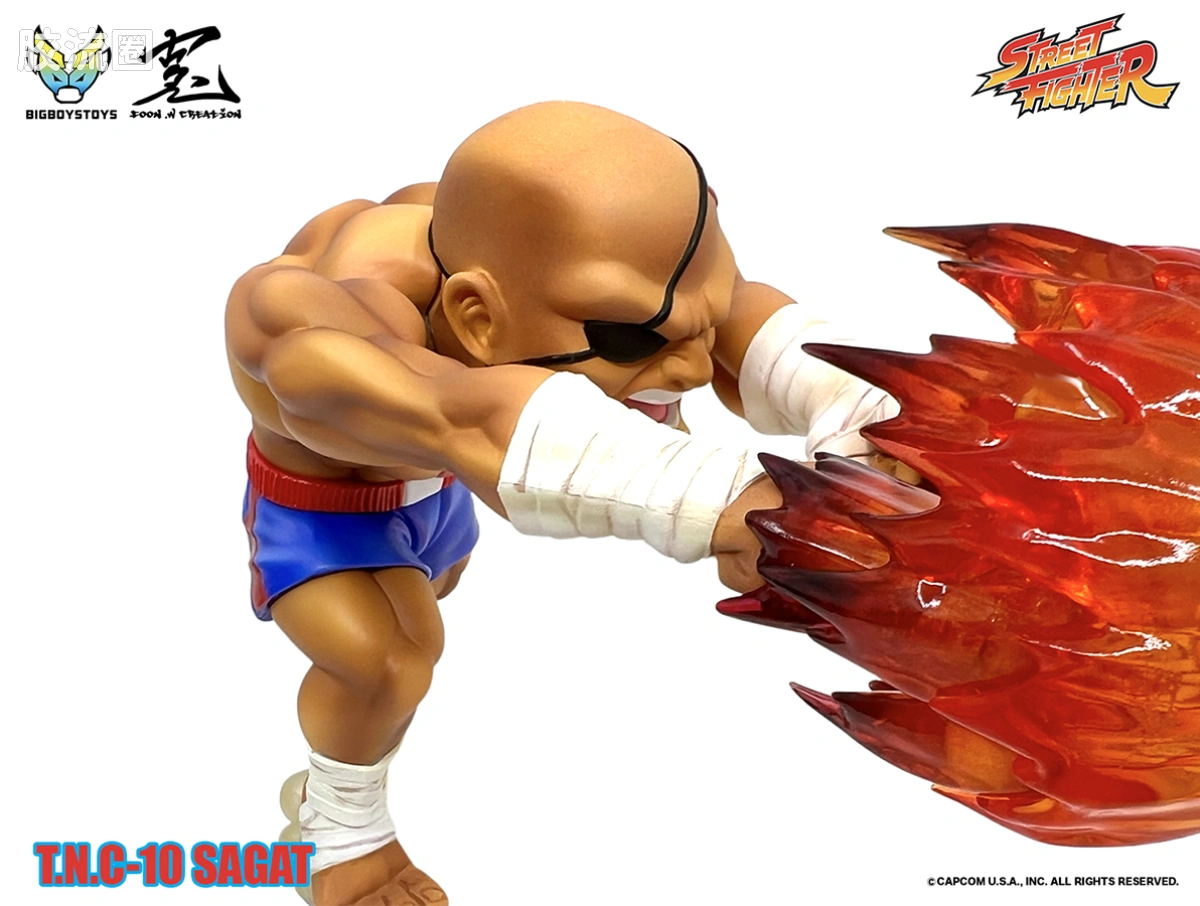 Pre-painted action figure 街头霸王系列 沙加特 - 图片
