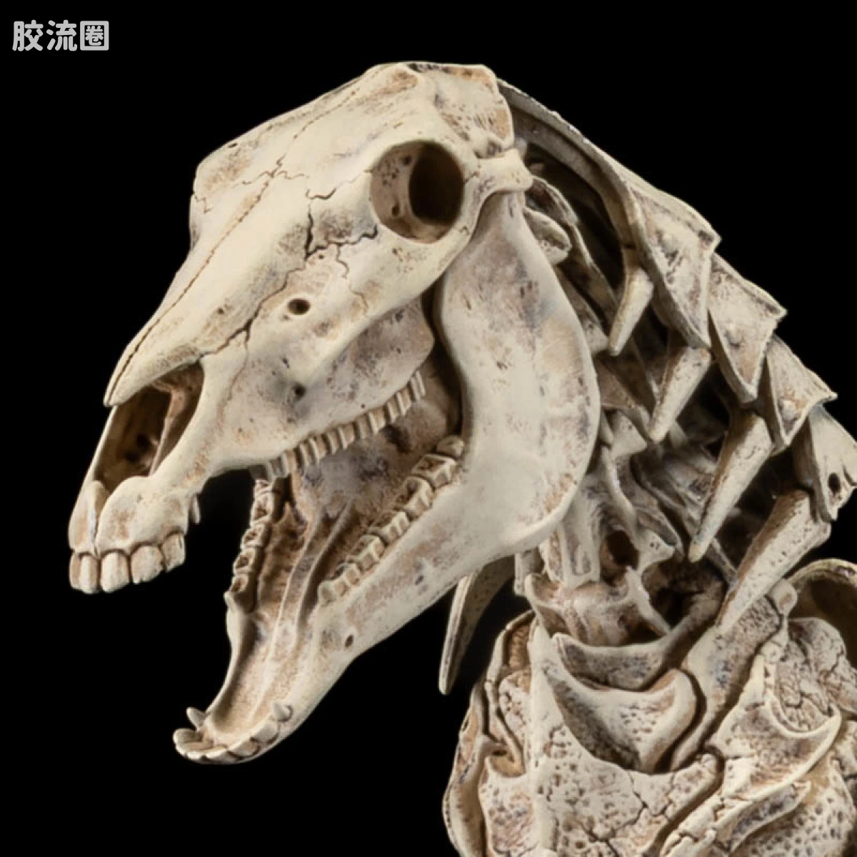 骷髅战马军团组装包