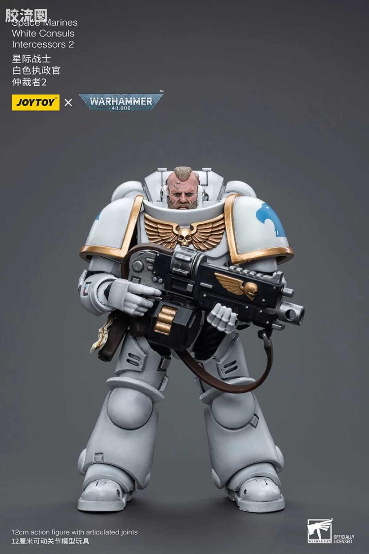 JOYTOY x 战锤40K 其他星际战士战团 白色执政官 仲裁者2 - 图片