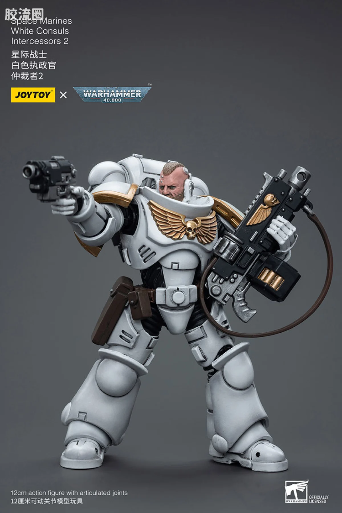 JOYTOY x 战锤40K 其他星际战士战团 白色执政官 仲裁者2 - 图片