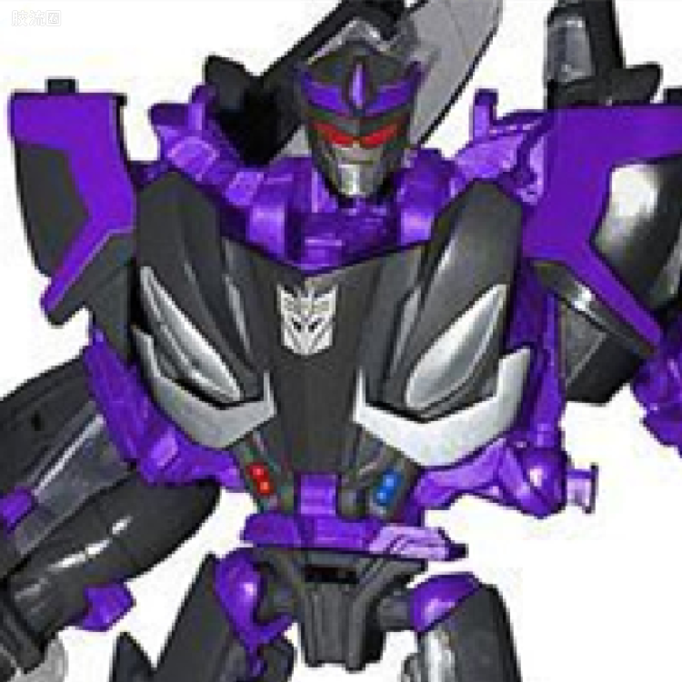 变形金刚 BOTCON & TCC 限定玩具 TCC2014 TFSS2.0-1 路障&迷乱