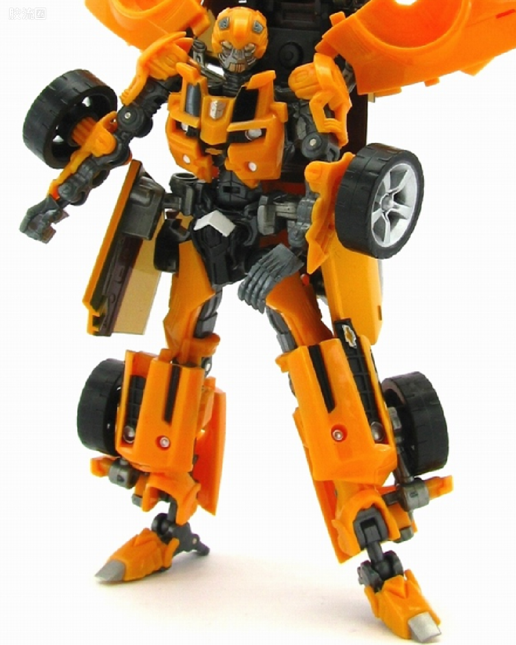 TS-02 大黄蜂