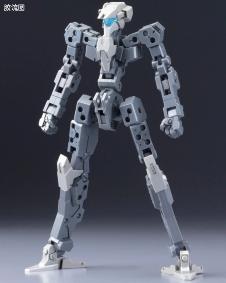 TYPE-001 通用骨架(灰色) :RE