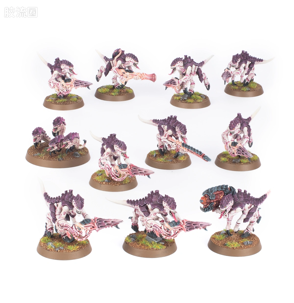 战锤40K Tyranid 泰伦虫族 10版 利维坦 枪虫 - 图片