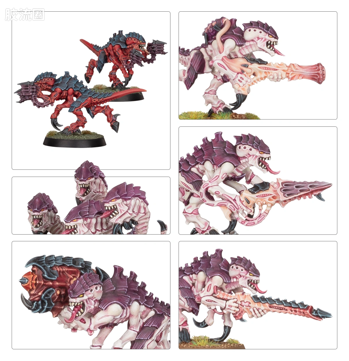 战锤40K Tyranid 泰伦虫族 10版 利维坦 枪虫 - 图片