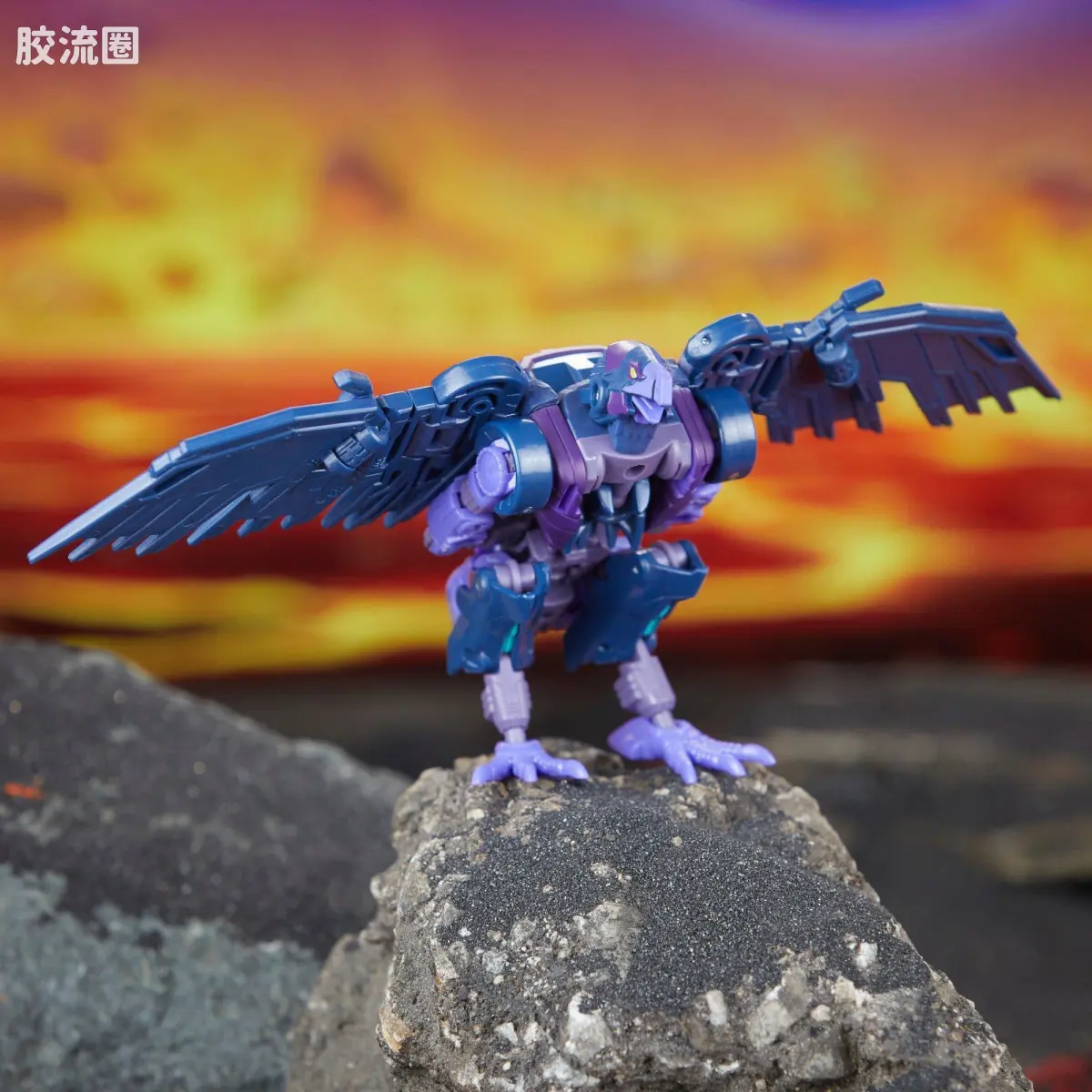传世联合 传世联合 星际劫匪 D级 扒手 - 图片
