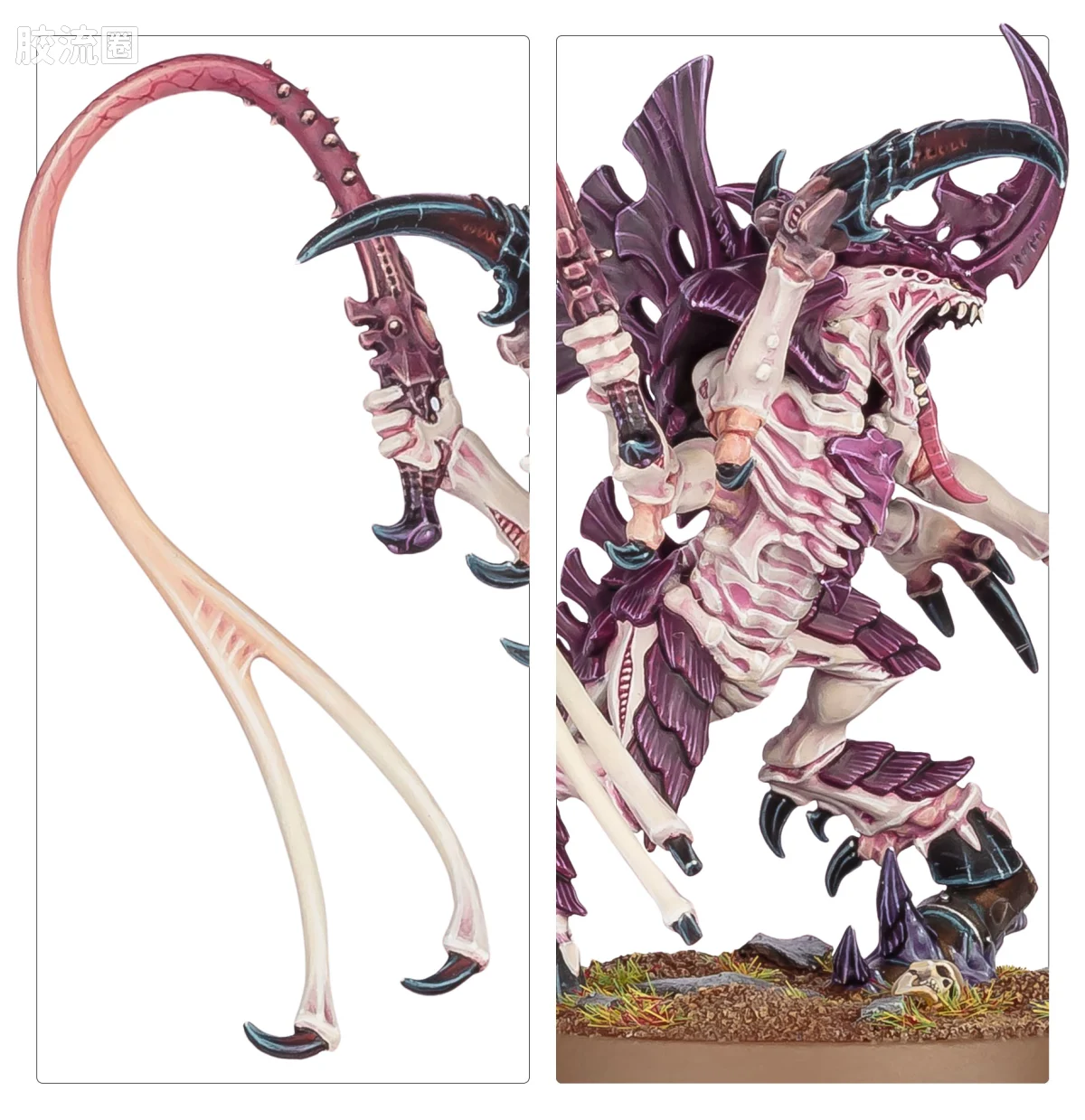 战锤40K Tyranid 泰伦虫族 10版 装备抽击鞭的泰伦王虫 - 图片