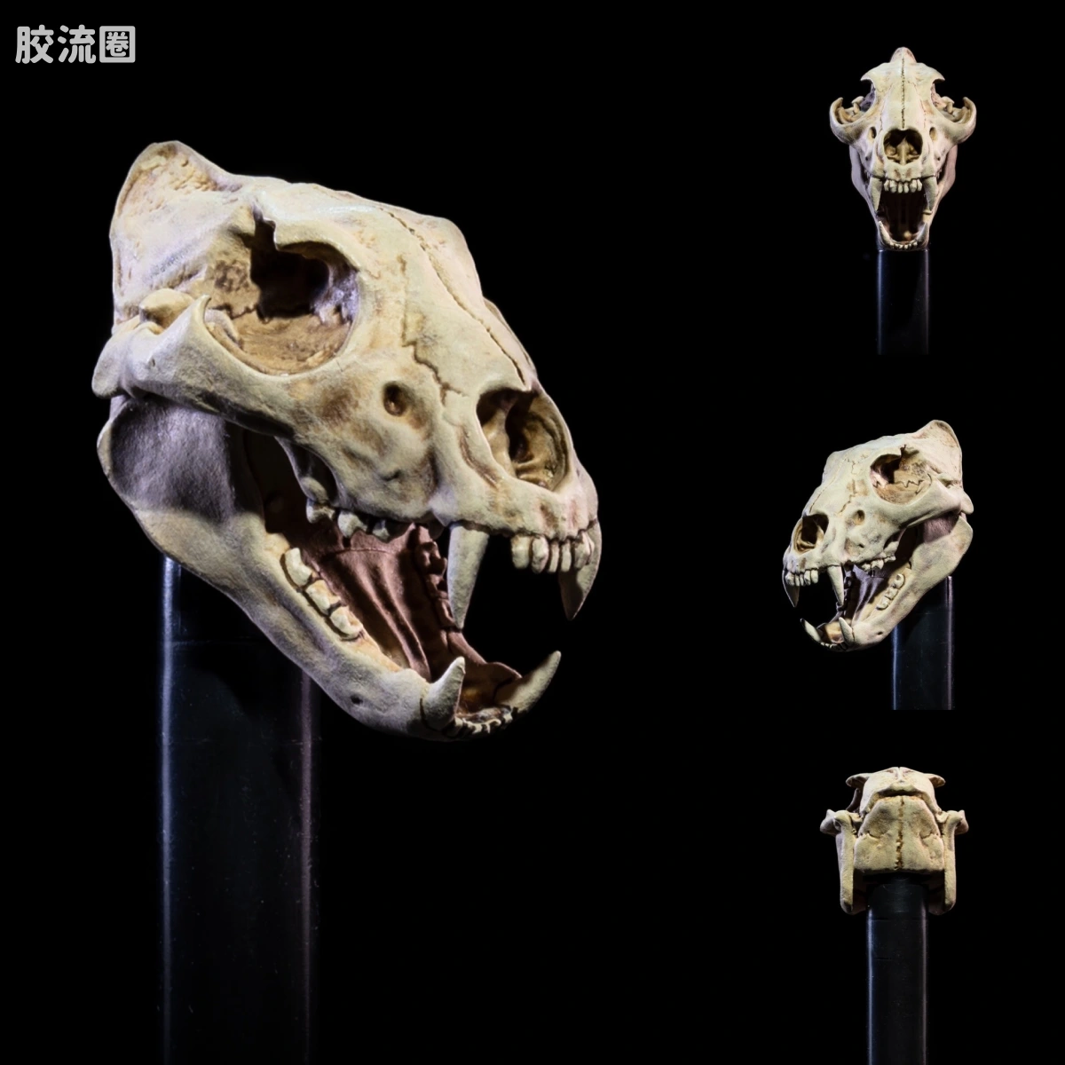 神话军团 全明星6.0 不死军团替换头配件包 - 图片