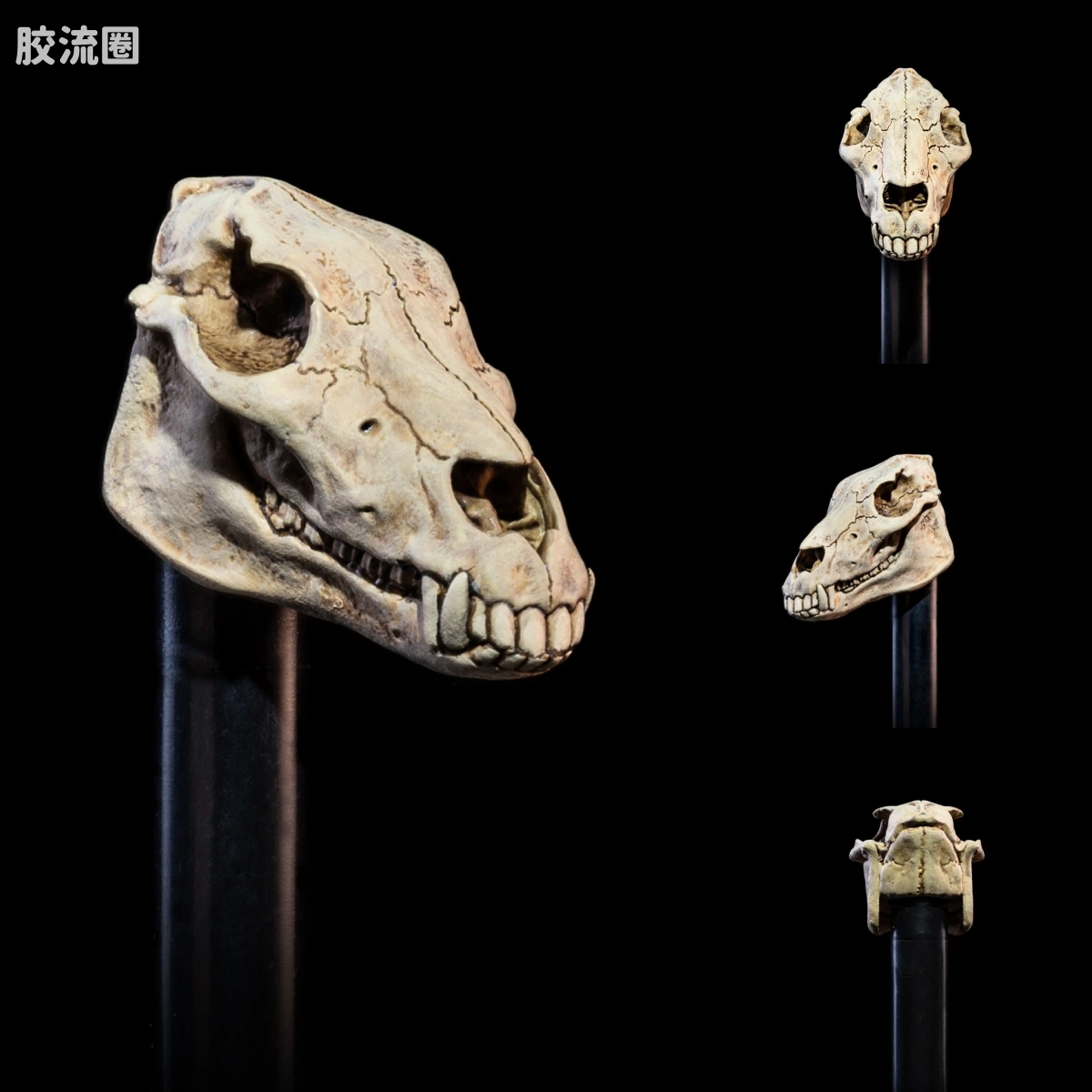神话军团 全明星6.0 不死军团替换头配件包 - 图片