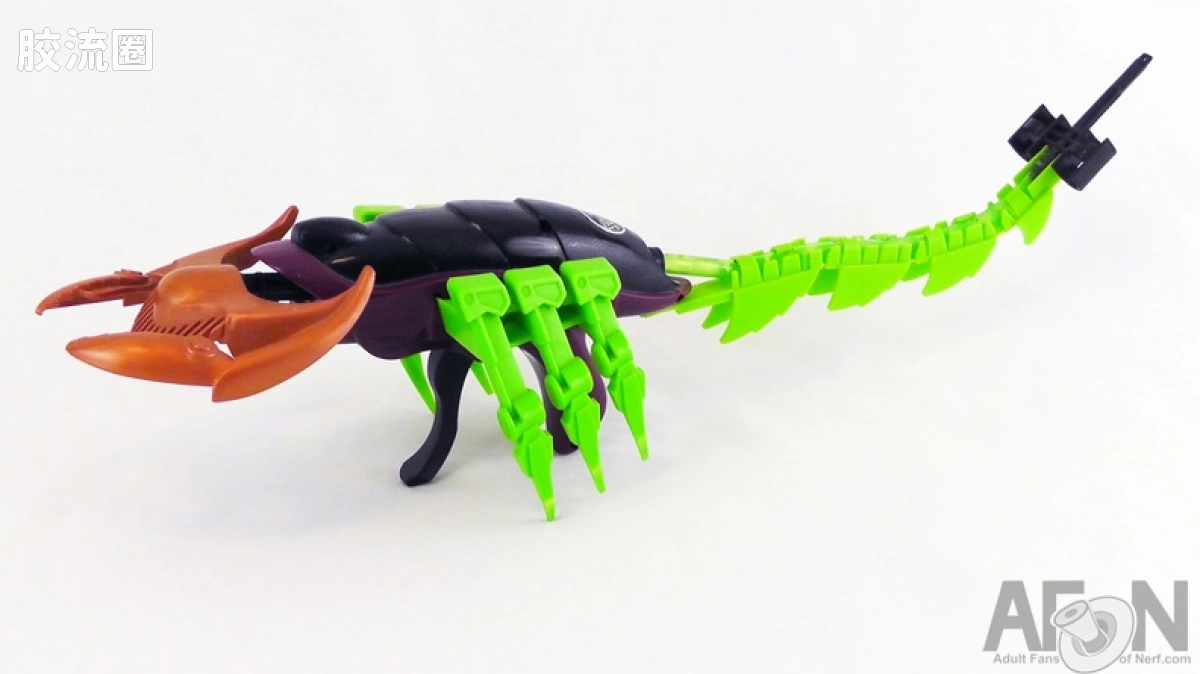 Whiptail Scorpion