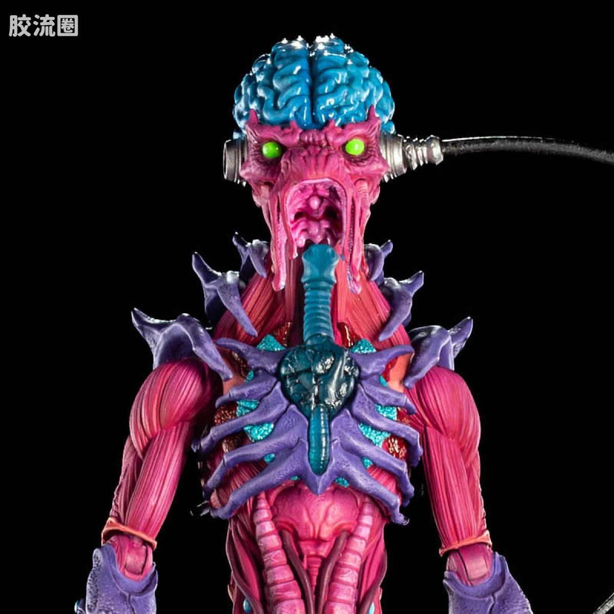 佐尔特克斯