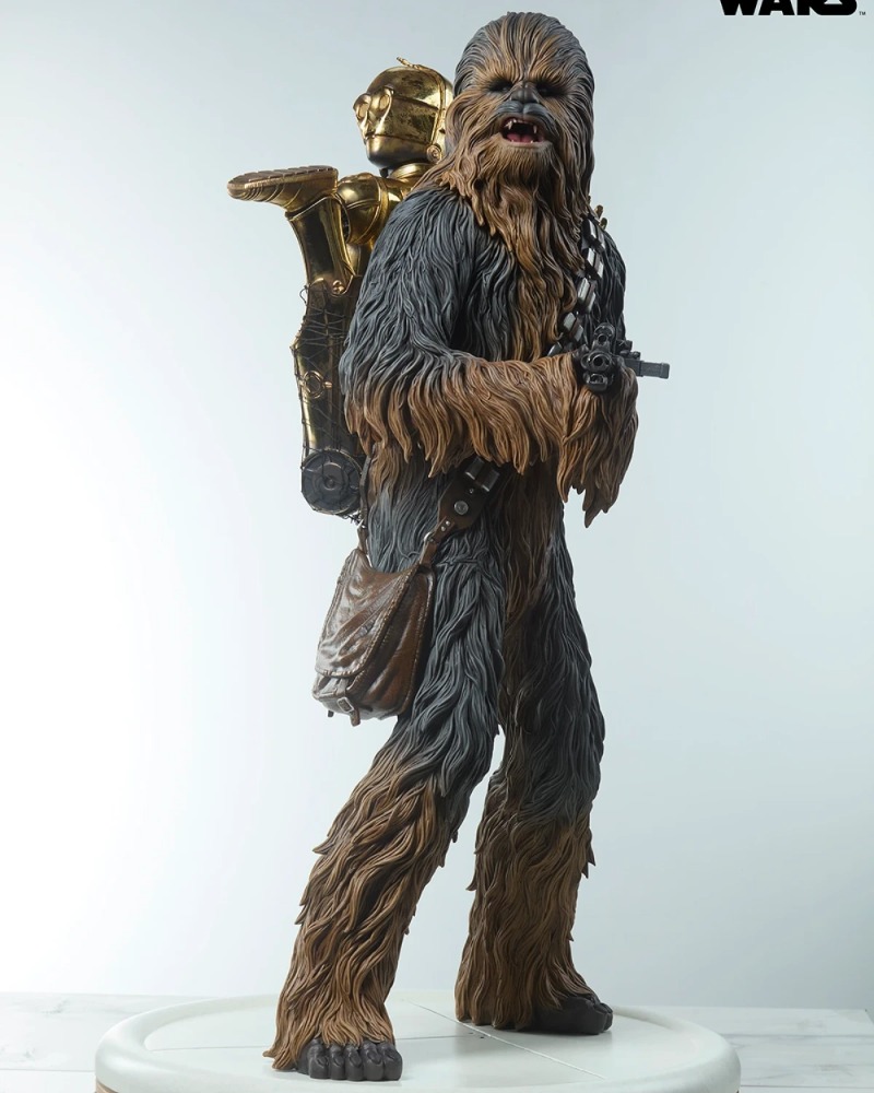 Chewbacca™ and C-3PO™