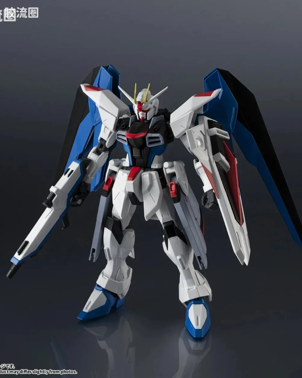 ZGMF-X10A FREEDOM GUNDAM RENEWAL