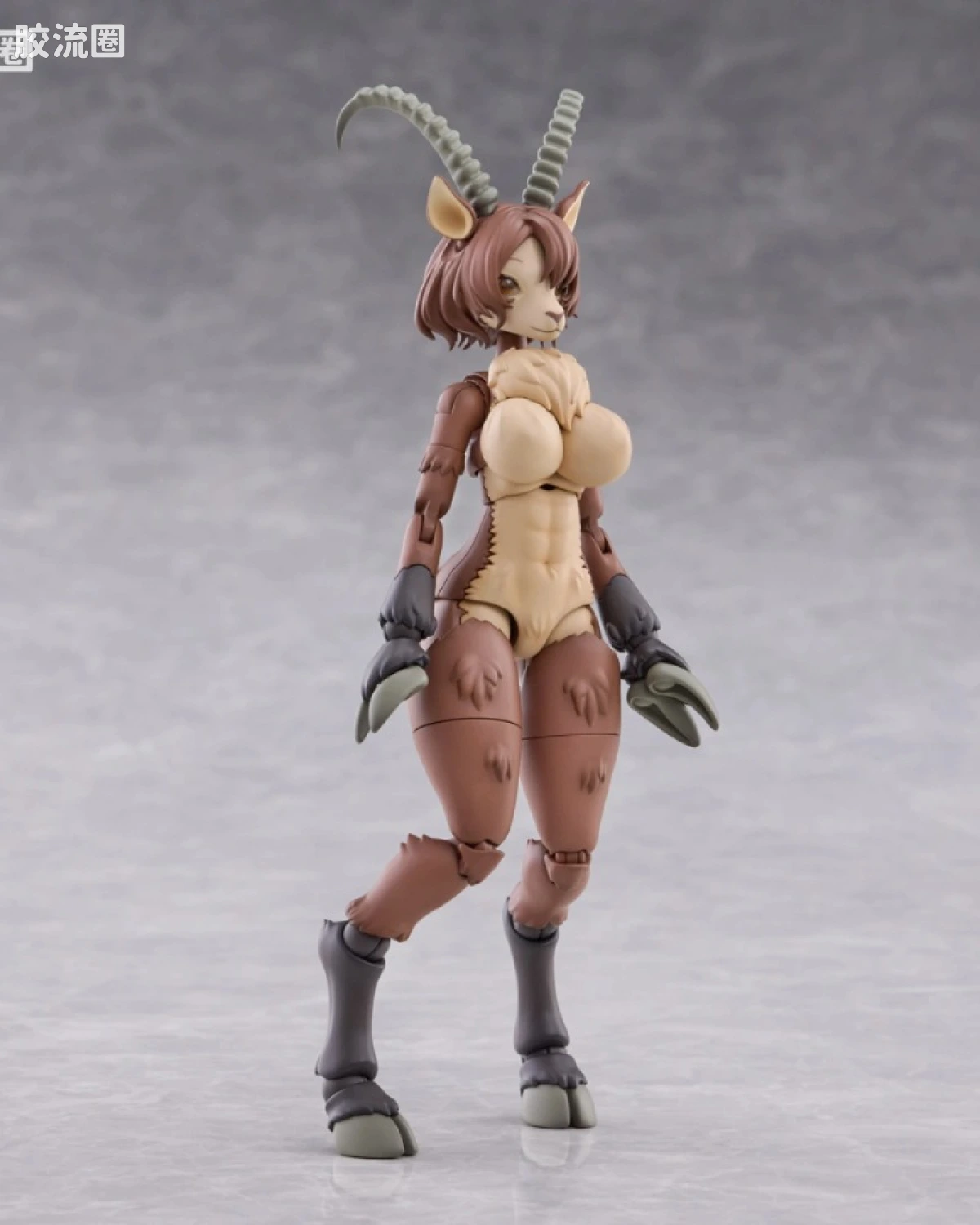 Ibex