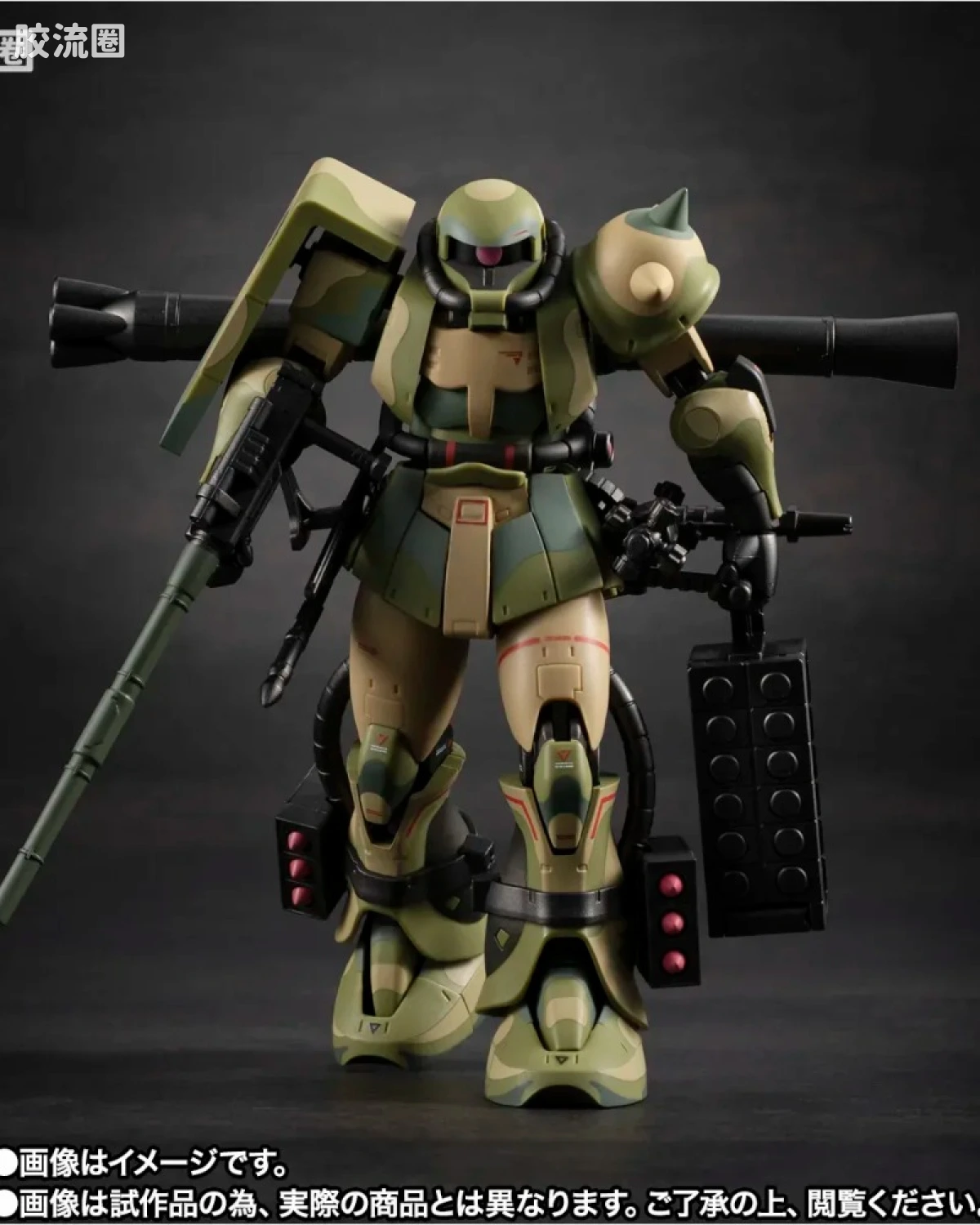MS-06J 湿地带战用扎古 ver. A.N.I.M.E. ～MS MUSEUM～