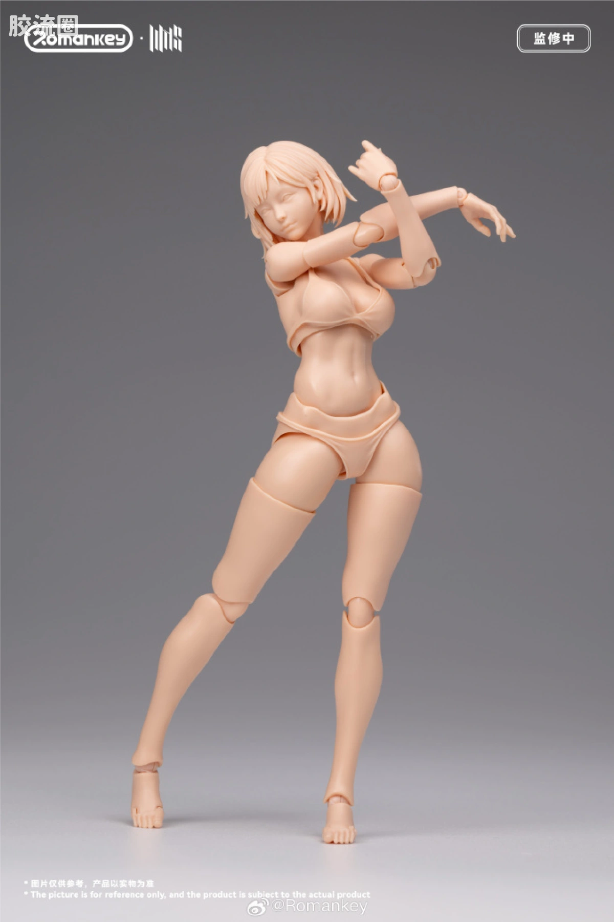 Romankey X VTOYS null UMS004 米娅 ▪ 无涂装版 - 图片
