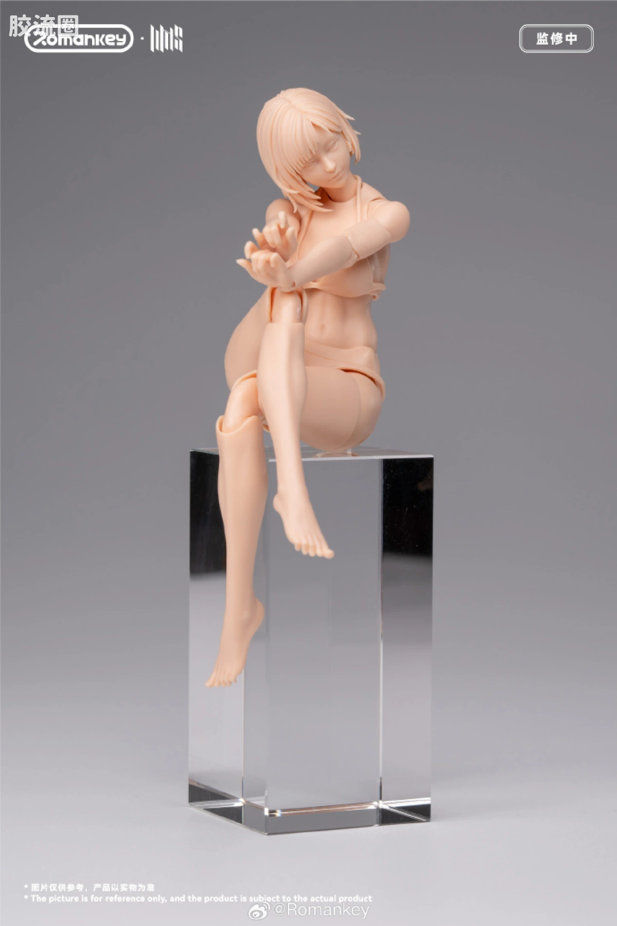 Romankey X VTOYS null UMS004 米娅 ▪ 无涂装版 - 图片