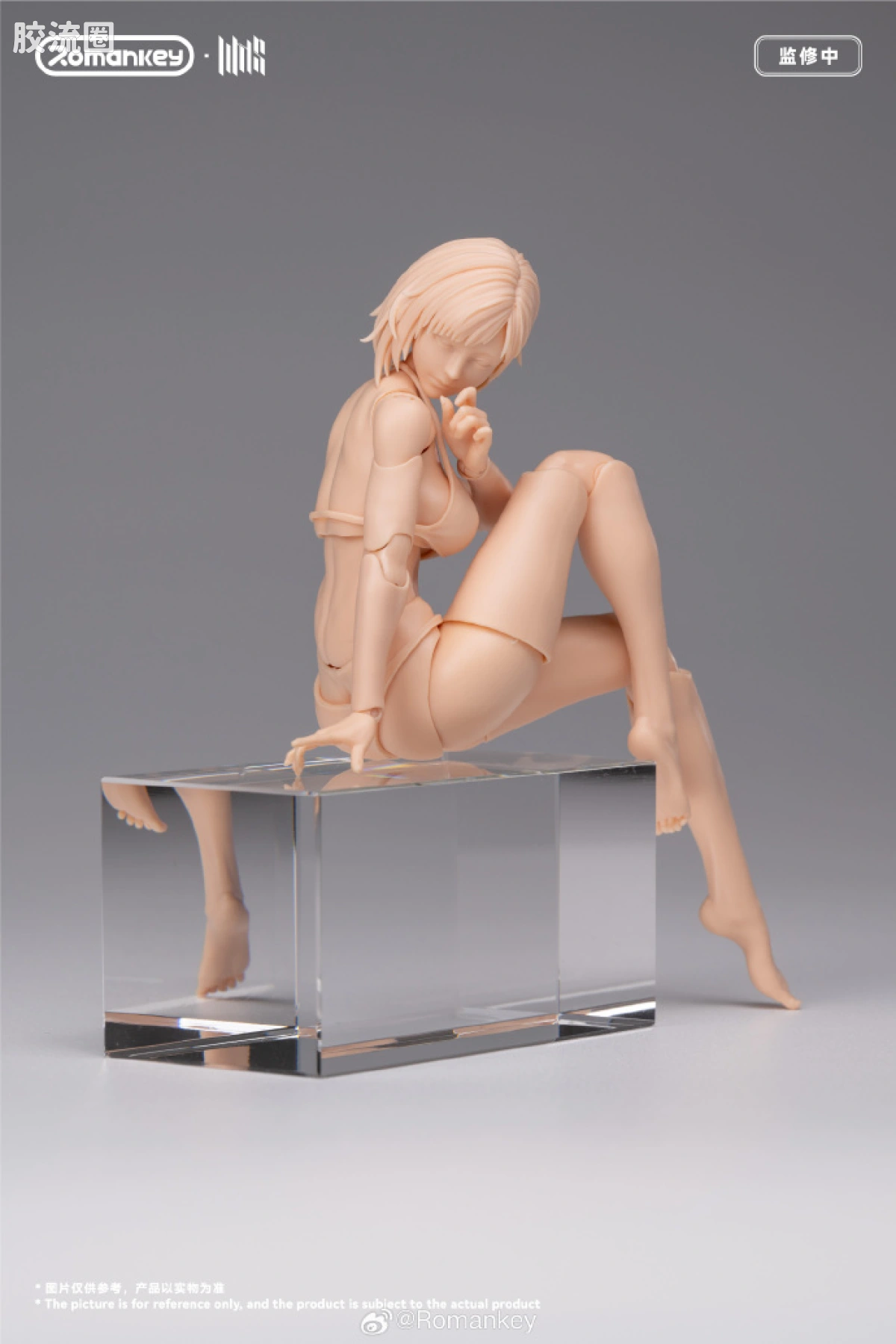 Romankey X VTOYS null UMS004 米娅 ▪ 无涂装版 - 图片