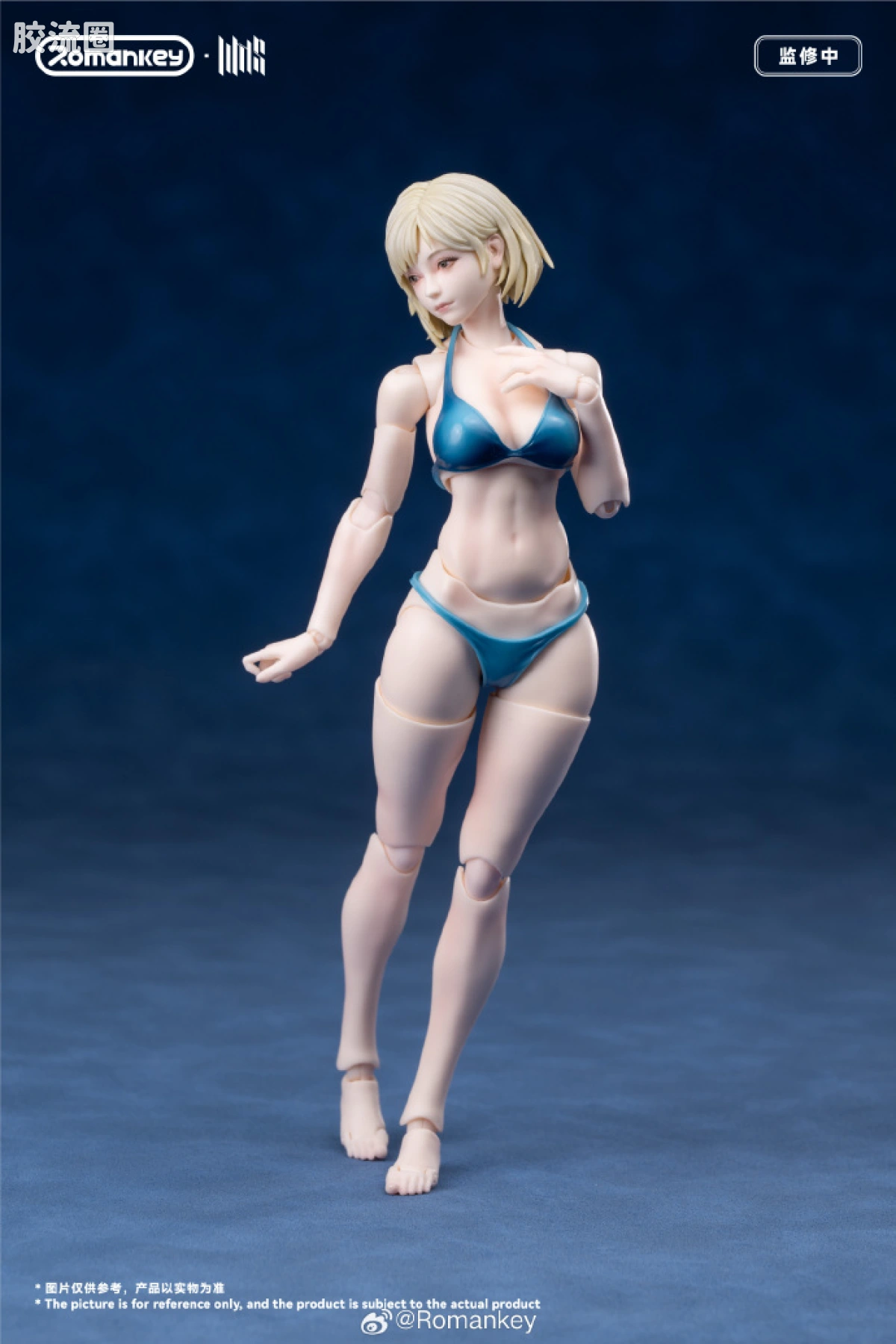 Romankey X VTOYS null UMS004C 米娅▪涂装限定版 - 图片