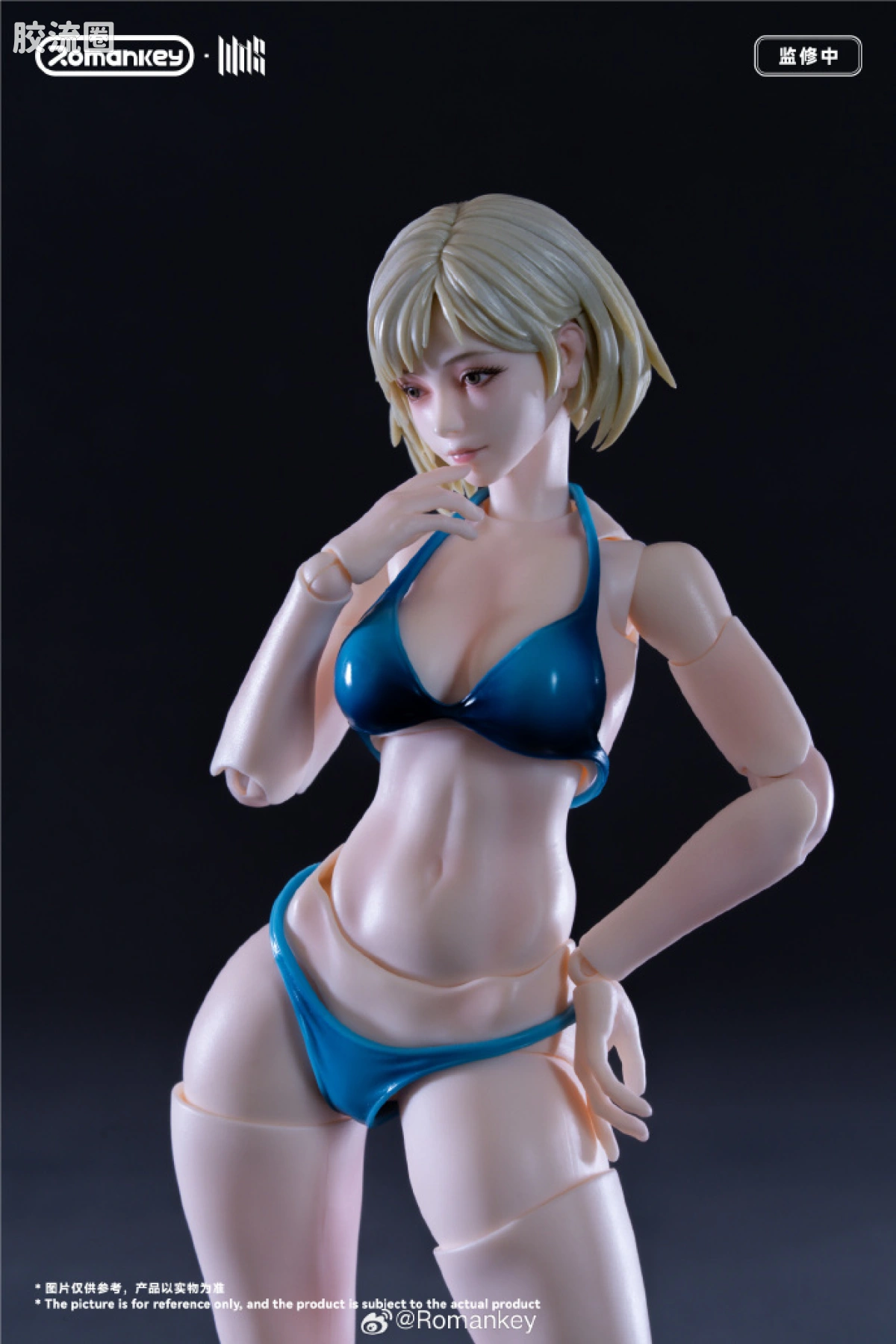 Romankey X VTOYS null UMS004C 米娅▪涂装限定版 - 图片