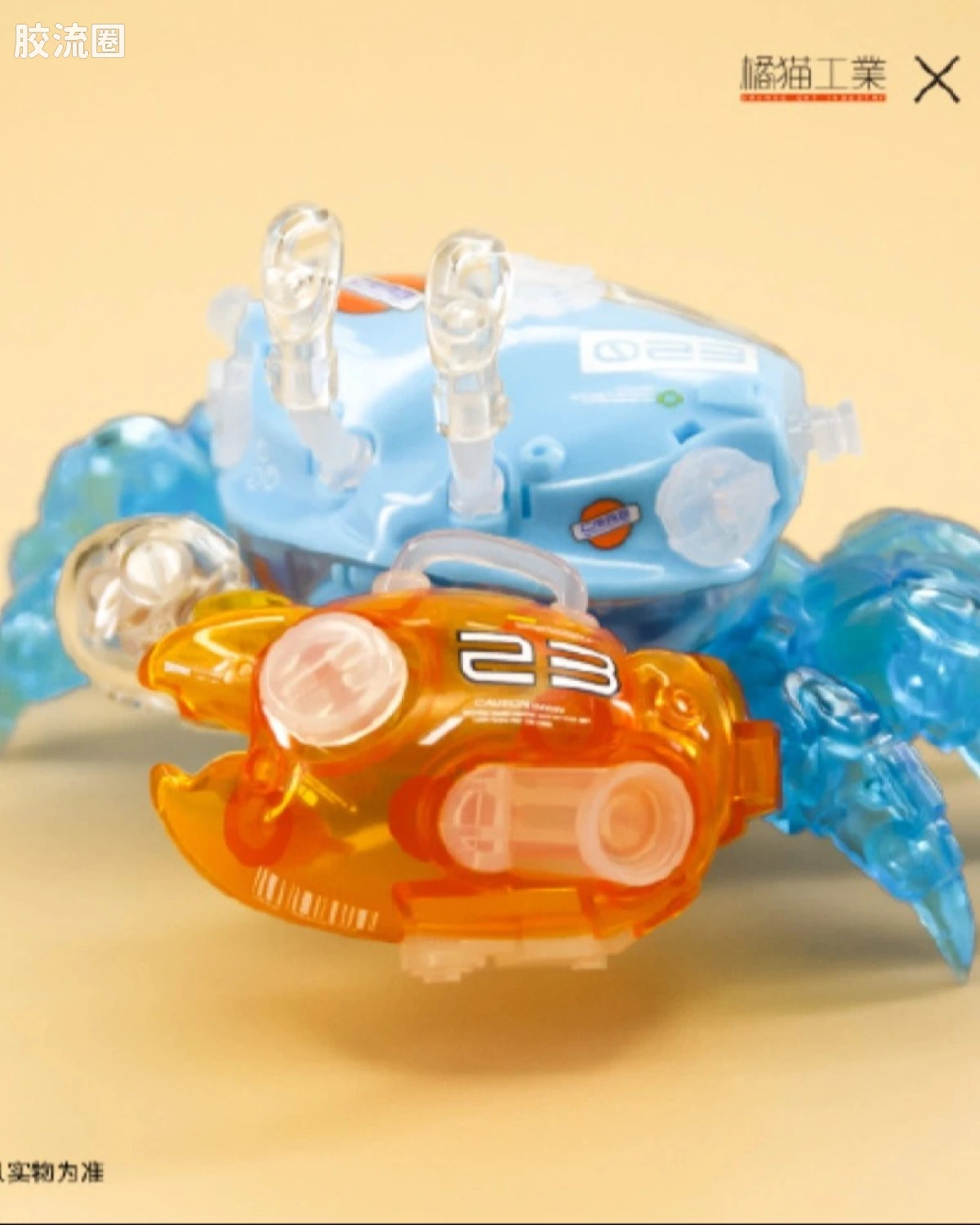 招潮蟹 海湾蓝
