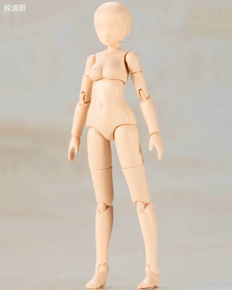 prime素体