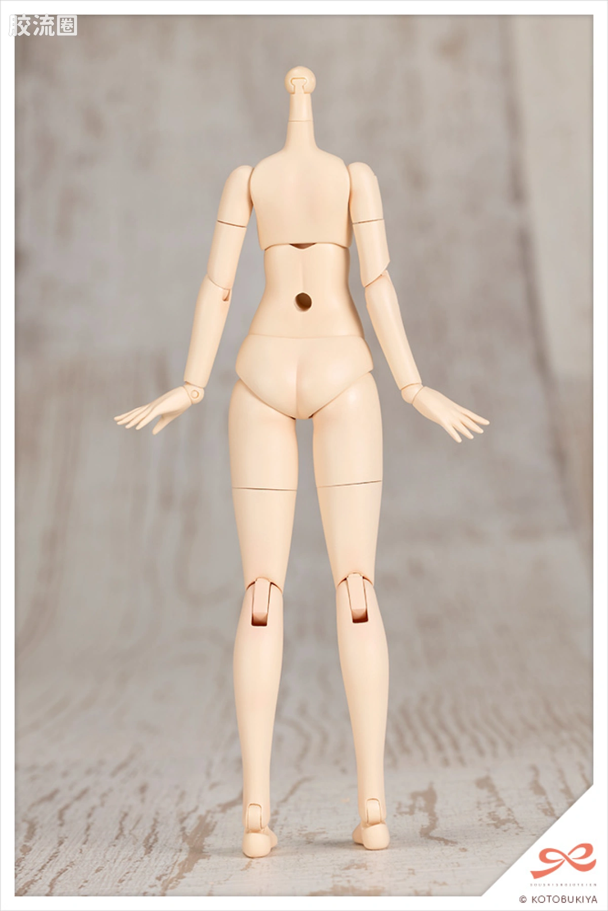 创彩少女庭园 普通版 小石川 艾玛【圣艾丽丝女学园高等部・冬服】 - 图片