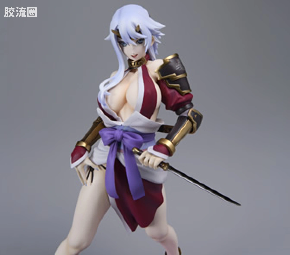 AlphaXOmega 手办系列 限定版 甲魔忍军头领 静 - 图片
