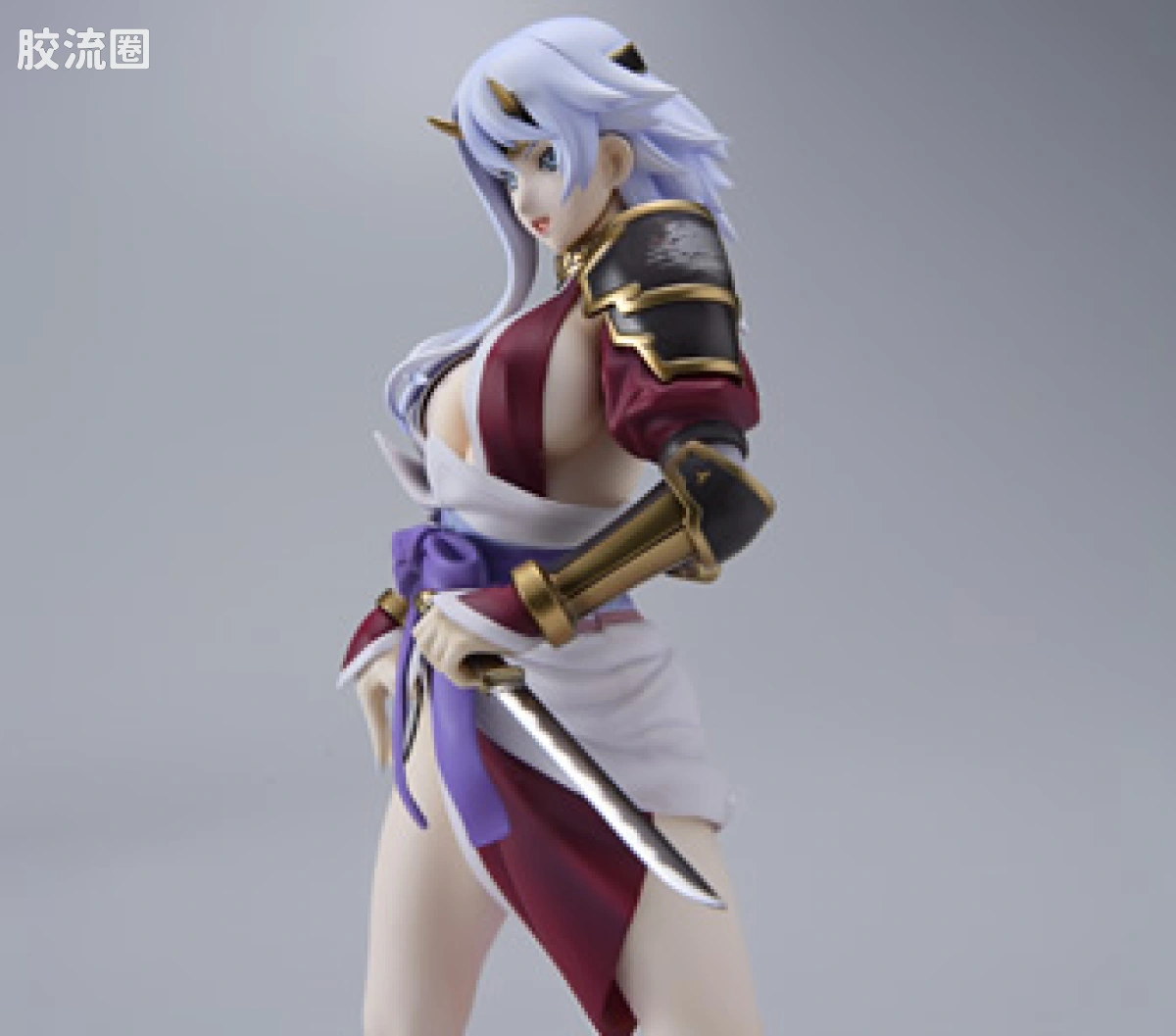 AlphaXOmega 手办系列 限定版 甲魔忍军头领 静 - 图片