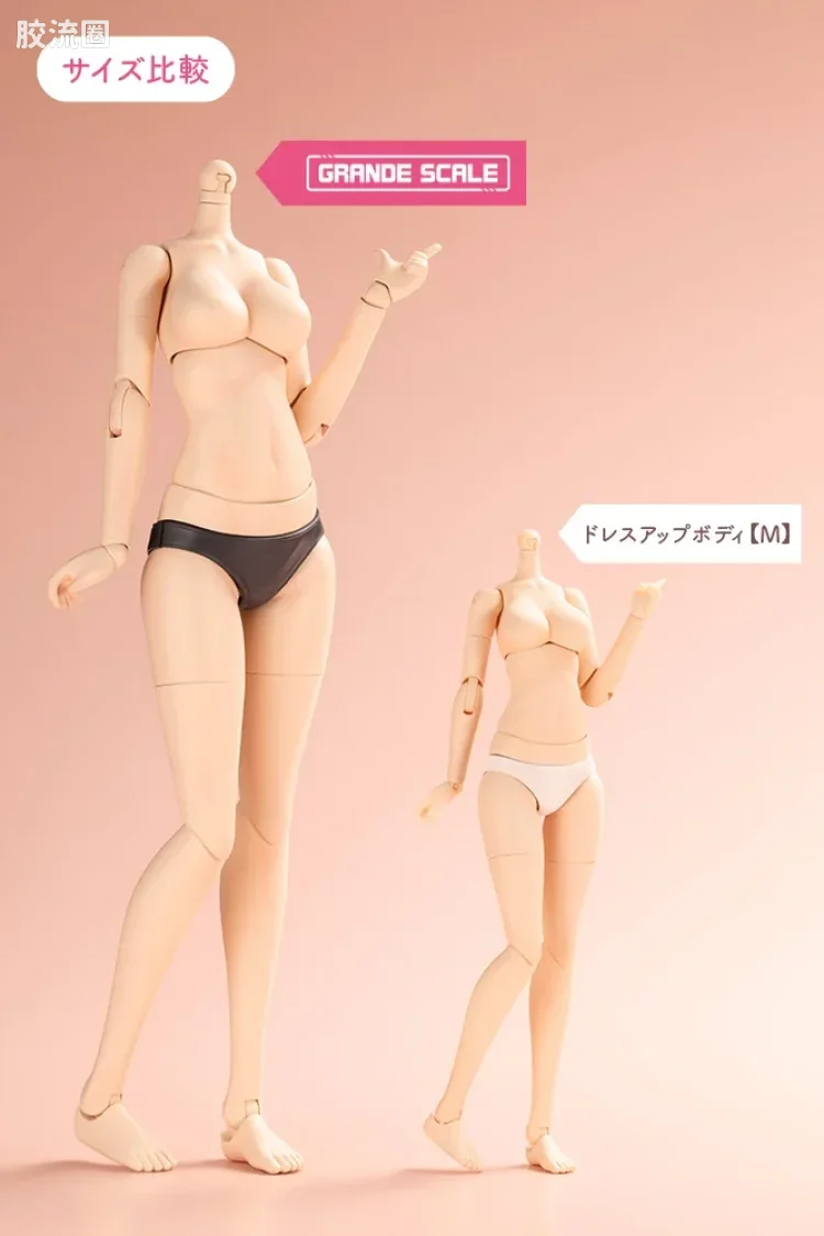 创彩少女庭园 Grande Scale Dress up Body 【M】& 源内苍 - 图片