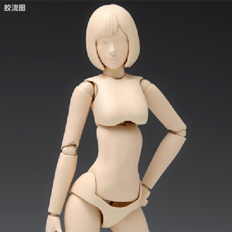 WAVE拼装综合系列 MOVABLE BODY スケール ムーバブルボディ 女性型［Aバージョン］