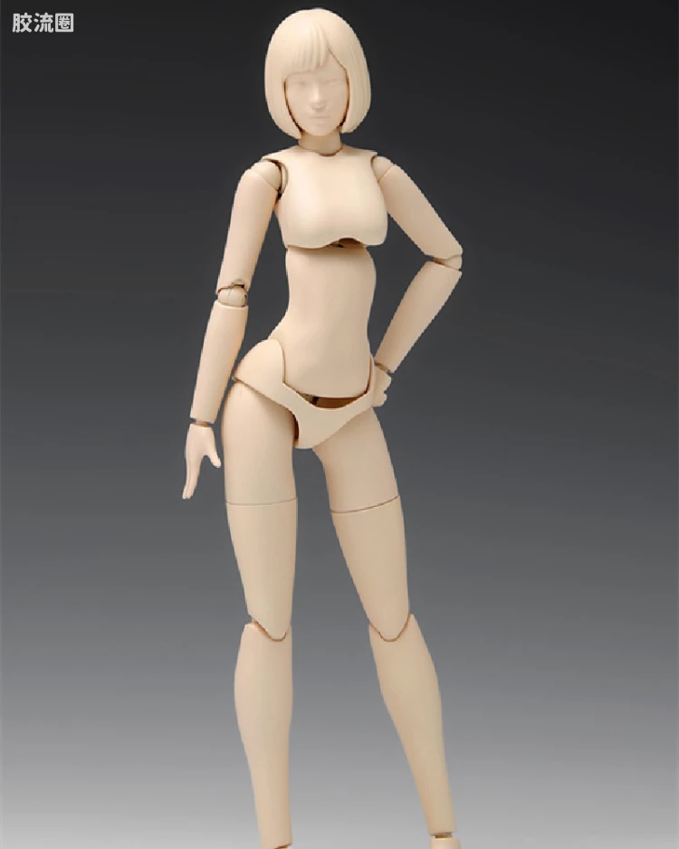 スケール ムーバブルボディ 女性型［Aバージョン］