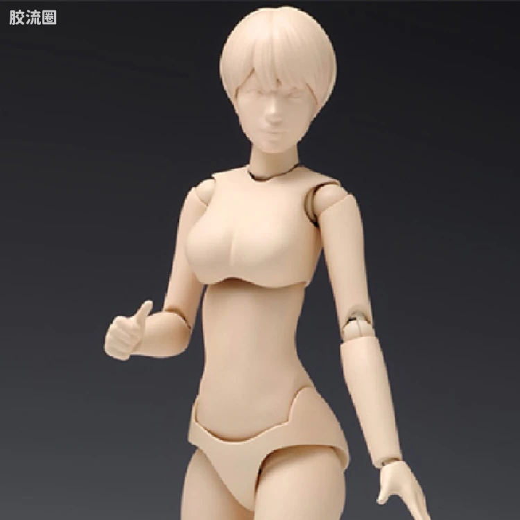 WAVE拼装综合系列 MOVABLE BODY スケール ムーバブルボディ 女性型［Bバージョン］