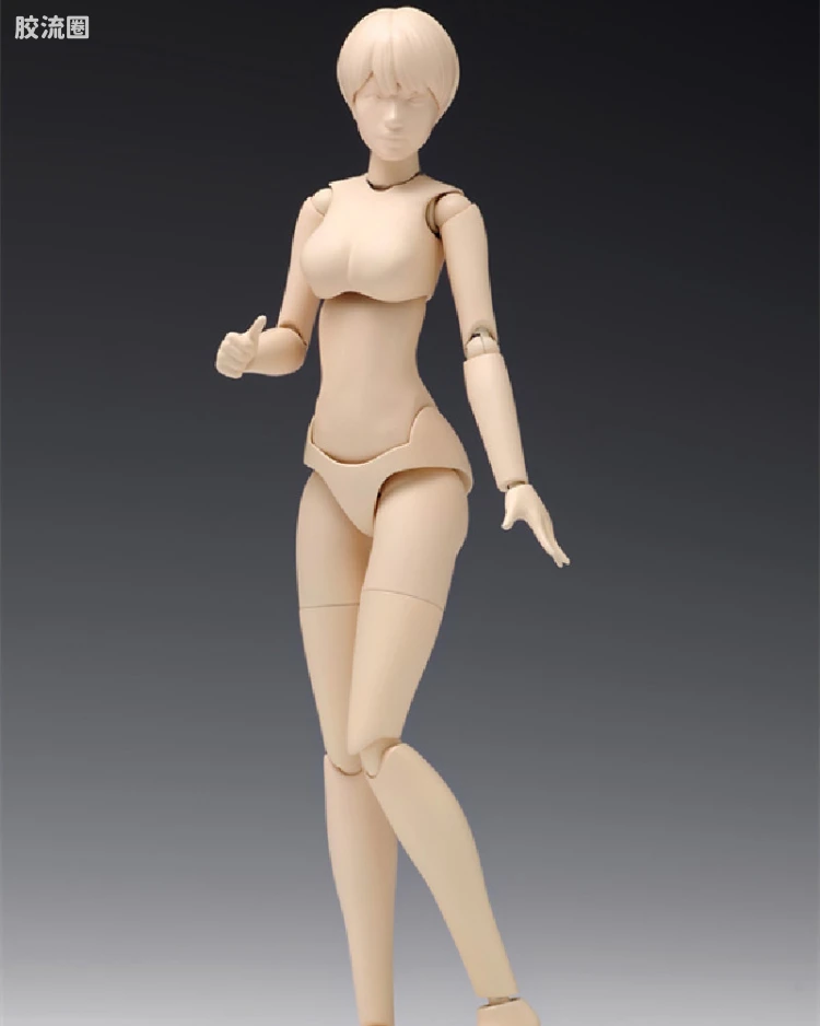 スケール ムーバブルボディ 女性型［Bバージョン］